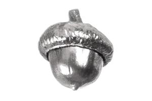 4204 Silver acorn isolated on a transparent background photo