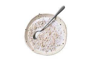 3072 Porridge isolated on a transparent background photo