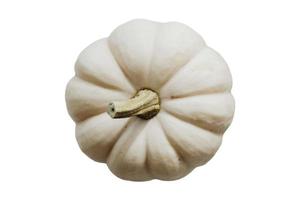 5202 White pumpkin isolated on a transparent background photo