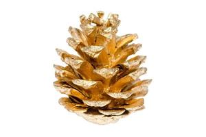 6789 Gold pine cone isolated on a transparent background photo