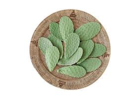 2282 Brown try with cactus leaves isolated on a transparent background photo