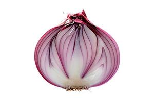1326 Half red onion isolated on a transparent background photo