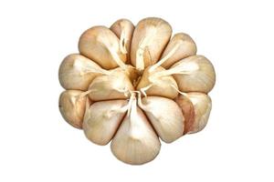 3216 Garlic wedge isolated on a transparent background photo