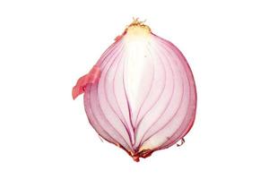 3120 Red onion isolated on a transparent background photo