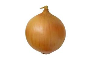 490 Brown onion isolated on a transparent background photo