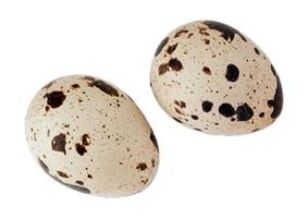 3003 Quail eggs isolated on a transparent background photo