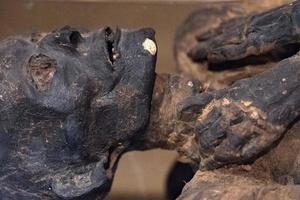 Egyptian mummy head close up detail of photo