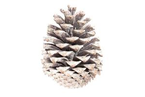 6710 White christmas pine cone isolated on a transparent background photo