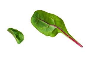 3737 Fresh vegetables isolated on a transparent background photo