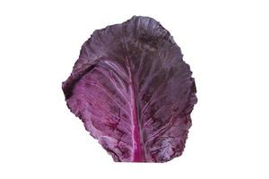 777 Purple cabbage isolated on a transparent background photo