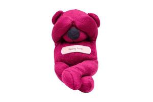 7226 Pink plush isolated on a transparent background photo