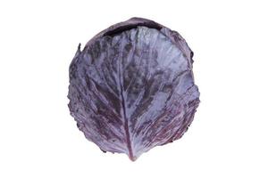 3114 Vegetables purple cabbage isolated on a transparent background photo