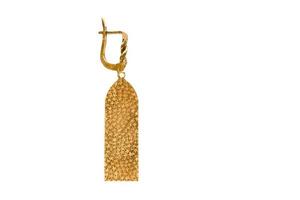 6805 Gold long earrings isolated on a transparent background photo