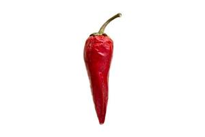 3571 Red hot pepper isolated on a transparent background photo