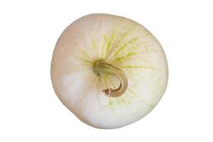 1316 White pumpkin isolated on a transparent background photo