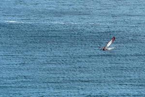 full speed catamaran on blue ocean sea photo