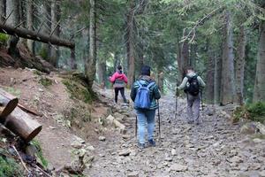 montañas de los cárpatos, ucrania - 8 de octubre de 2022 monte hoverla. cárpatos en ucrania en otoño foto