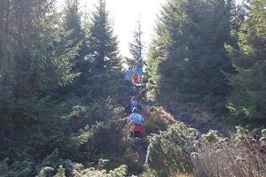 montañas de los cárpatos, ucrania - 8 de octubre de 2022 monte hoverla. cárpatos en ucrania en otoño foto