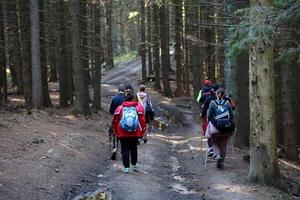 CARPATHIAN MOUNTAINS, UKRAINE - OCTOBER 8, 2022 Mount Hoverla. Carpathians in Ukraine in autumn photo