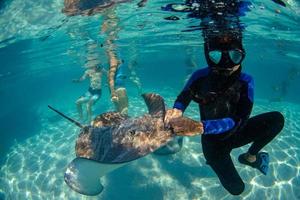 diver and sting ray in french polynesia photo