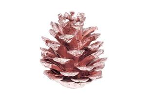 7066 Pink pine cone isolated on a transparent background photo