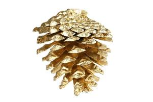 6947 Good pine cone isolated on a transparent background photo