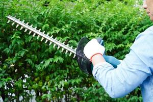 Gardener trimming bush by electric hedge clippers in garden. Hobby at home. photo