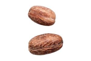 3232 Almond isolated on a transparent background photo