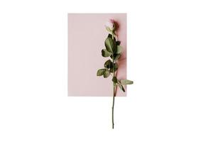 2022 Pink notebook with a rose isolated on a transparent background photo