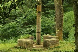 Monumento en el bosque con verde hojas antecedentes foto