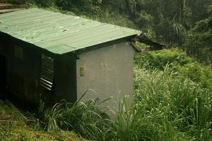 pequeño casa en el selva foto