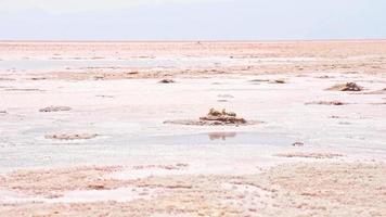 Seque el lago salado rosa maharlu panorama de cerca con textura y detalles