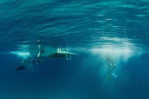 scuba diver jumping from boat photo