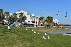 MELBOURNE, AUSTRALIA - AUGUST 14, 2017 - People relaxing on st. Kilda the beach photo