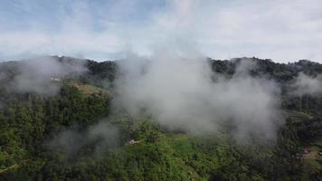 aérien mouche plus de faible nuage vers plantation video
