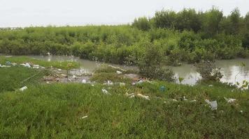 Rubbish dump at mangrove coastal video