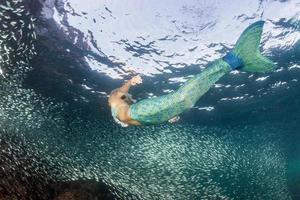 rubia hermosa sirena buzo bajo el agua foto