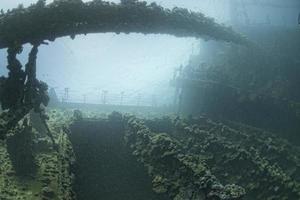 umbria ship wreck in red sea photo