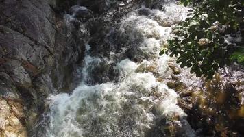 aéreo Visão manhã água corrente fluxo sobre pedras video