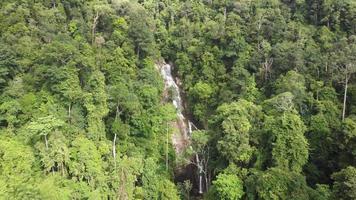 Aerial fly toward waterfall at green forest video