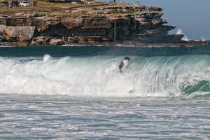 australia, bondi beach surfistas montando grandes olas foto