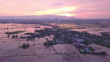 spectaculaire coloré le coucher du soleil nuage près paddy champ video