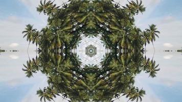 Kaleidoscope reflection coconut trees video