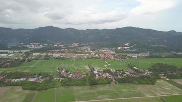 aéreo ver arrozal campo a balik pulau video