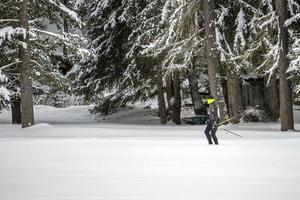 cross country skiing in dolomites photo