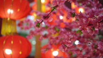 Red artificial plum blossom during Chinese New Year video