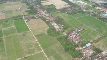 antenne groen rijstveld veld- Bij Balik pulau video