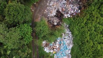 vogel oog visie vuilnis dump Bij groen gebladerte landschap video
