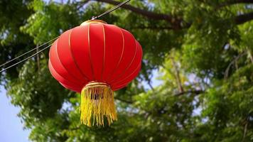 Red chinese lantern hanging waving video