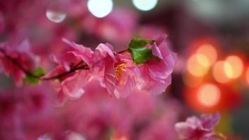 dichtbij omhoog tonen van nep bloem Pruim bloesem decoratie video